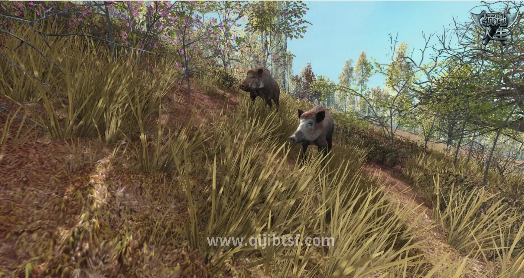 奇迹私服GM工具