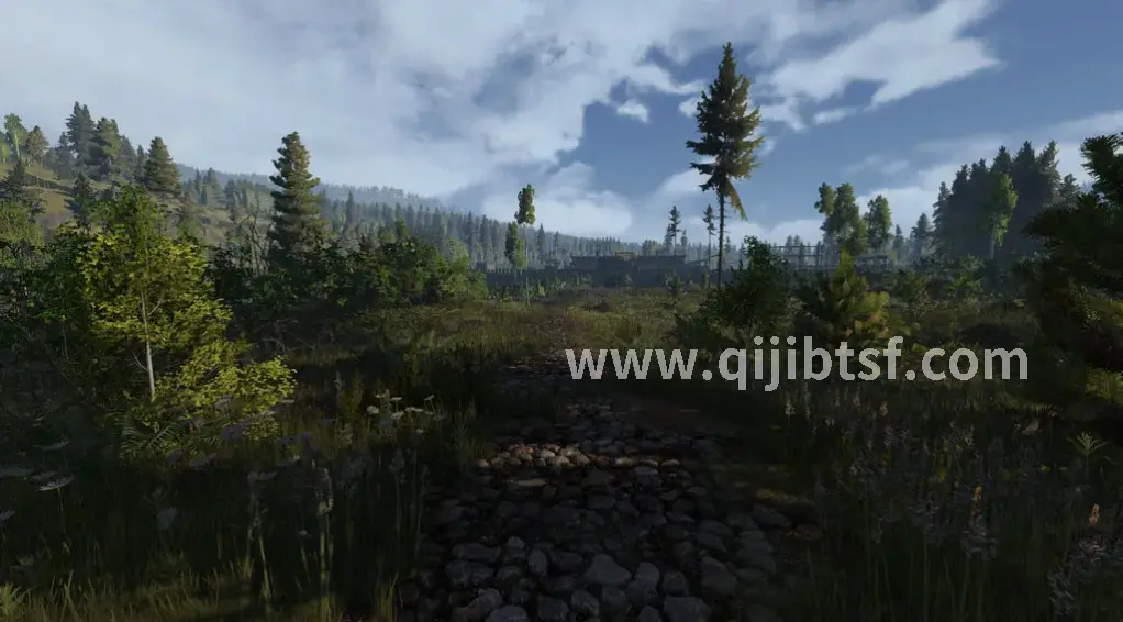 新手勇者初入奇迹大陆